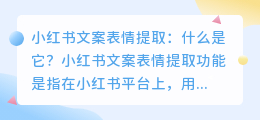 如何利用小红书文案表情提取功能优化SEO？（小红书文案表情提取）