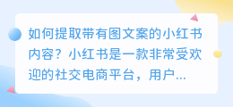 如何提取带有图文案的小红书内容(小红书带图文案怎么提取)