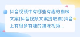 抖音视频中有哪些有趣的猫咪文案(抖音视频文案提取猫)