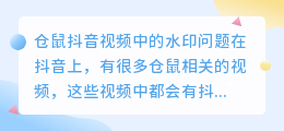 如何在仓鼠抖音视频中去掉水印(仓鼠抖音去水印)